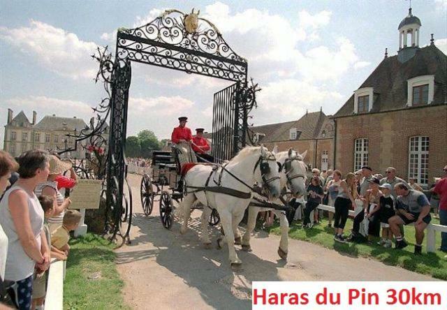 مبيت وإفطار Saint-Sauveur-de-Carrouges Haras De La Croix D'Argent المظهر الخارجي الصورة