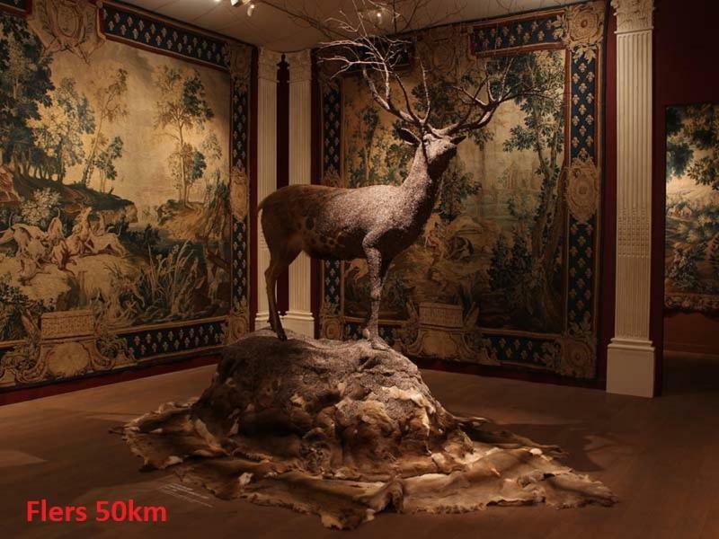 مبيت وإفطار Saint-Sauveur-de-Carrouges Haras De La Croix D'Argent المظهر الخارجي الصورة
