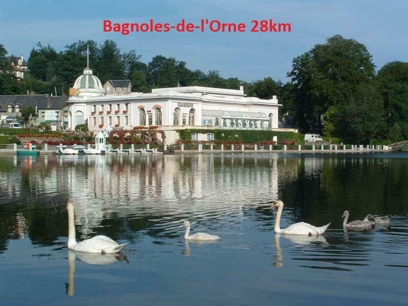 مبيت وإفطار Saint-Sauveur-de-Carrouges Haras De La Croix D'Argent المظهر الخارجي الصورة