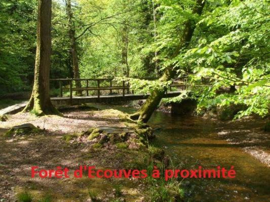 مبيت وإفطار Saint-Sauveur-de-Carrouges Haras De La Croix D'Argent المظهر الخارجي الصورة